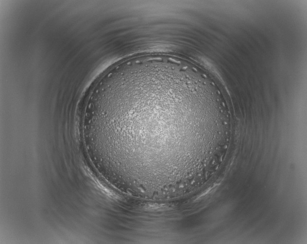 X0000077990835200611101726