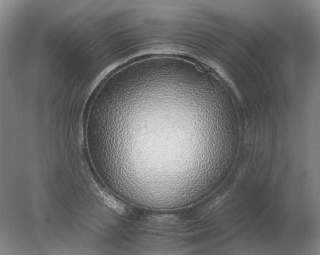 X0000077990837200611101726