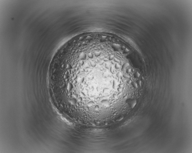 X0000077990839200611101726