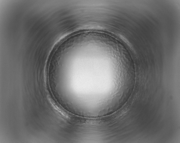 X0000077990840200611101726