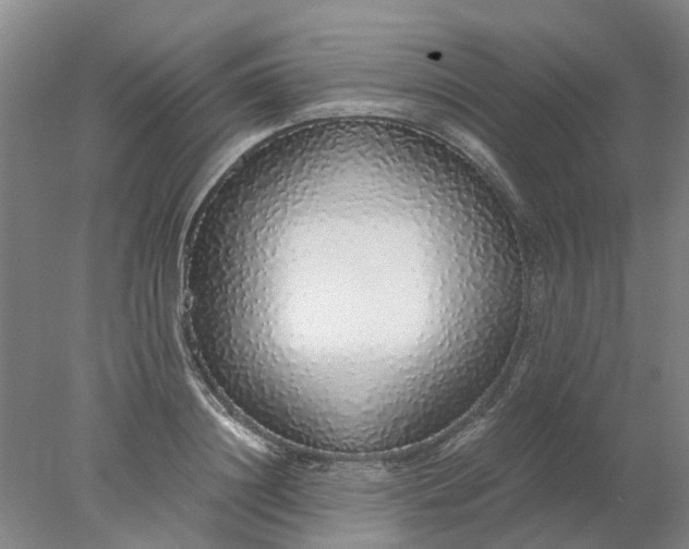 X0000077990844200611101726