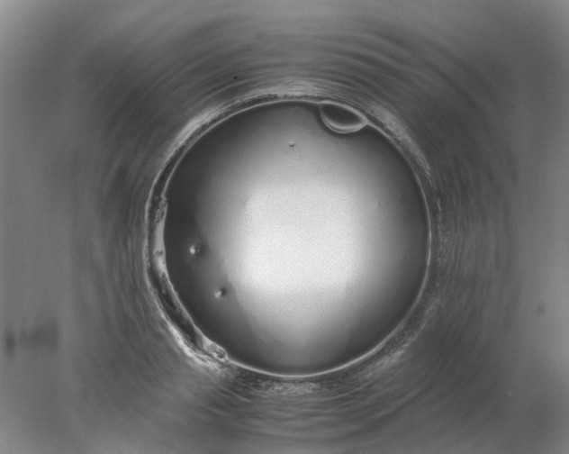 X0000077990845200611101726