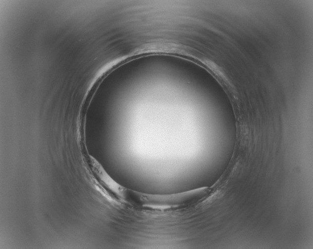 X0000077990846200611101726