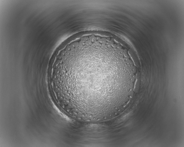 X0000077990847200611101726