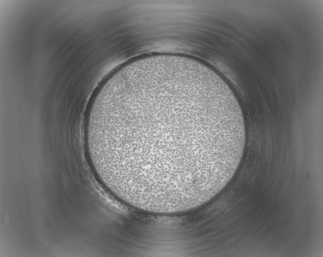 X0000077990848200611101726