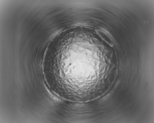 X0000077990849200611101726