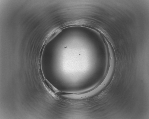 X0000077990850200611101726