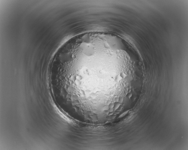 X0000077990851200611101726