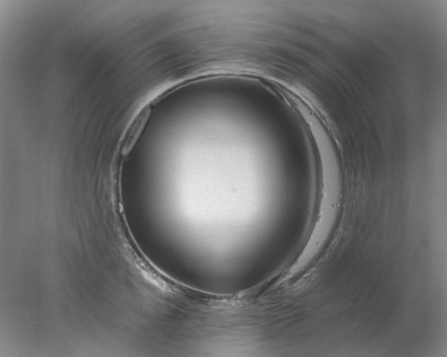 X0000077990854200611101726