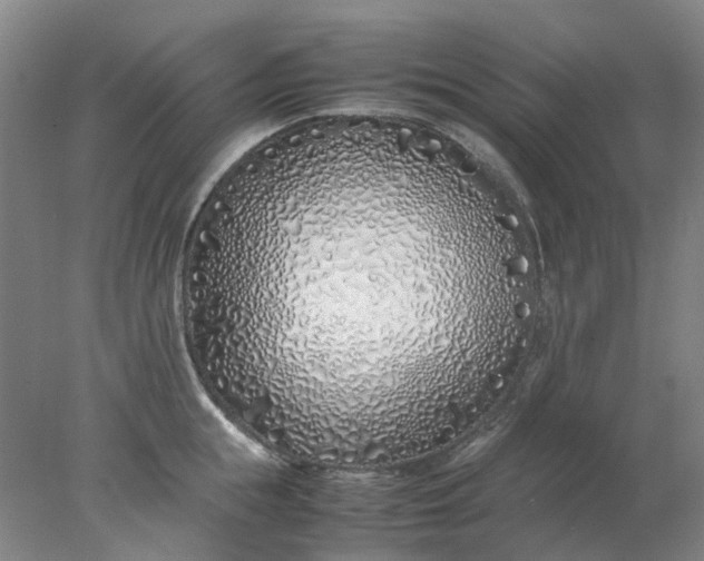 X0000077990855200611101726