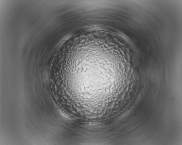 X0000077990857200611101726