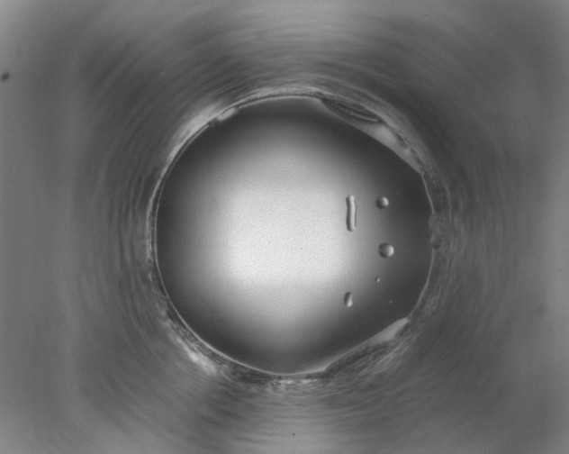 X0000077990858200611101726