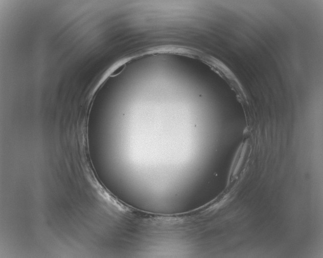 X0000077990860200611101726