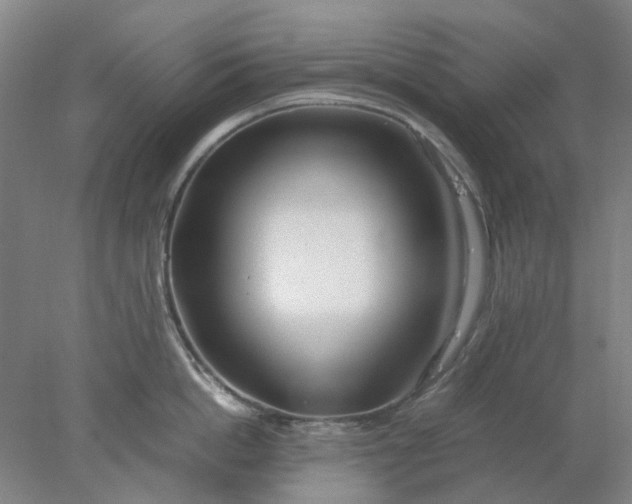 X0000077990862200611101726