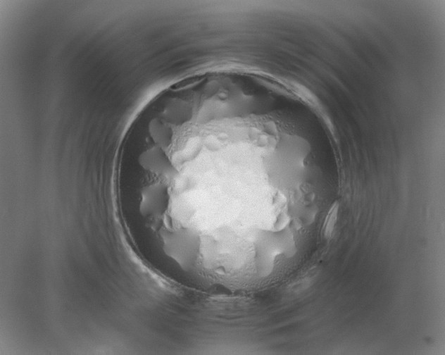 X0000077990863200611101726