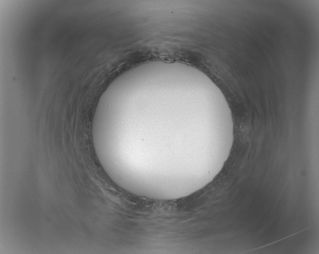 X0000077990865200611101726