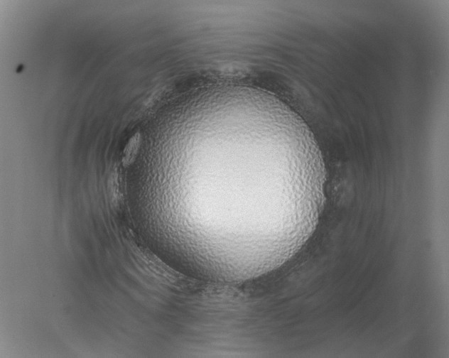 X0000077990866200611101726