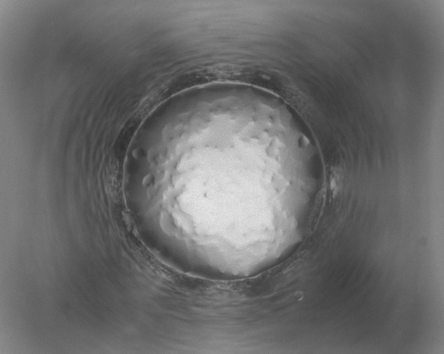 X0000077990867200611101726