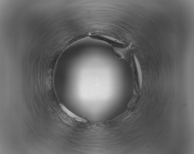 X0000077990868200611101726