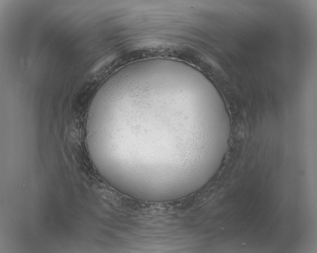 X0000077990869200611101726