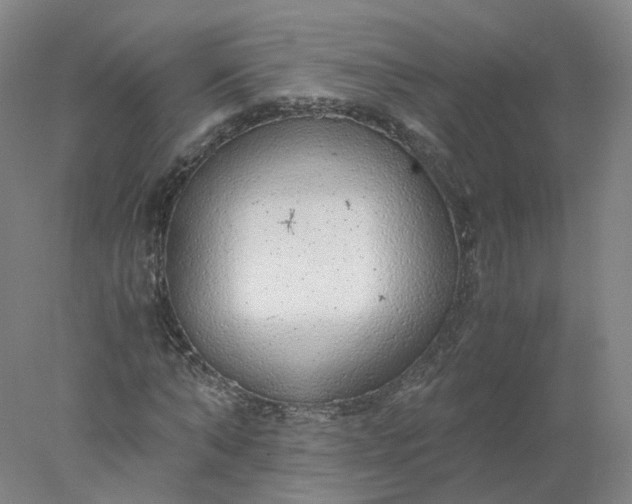 X0000077990870200611101725