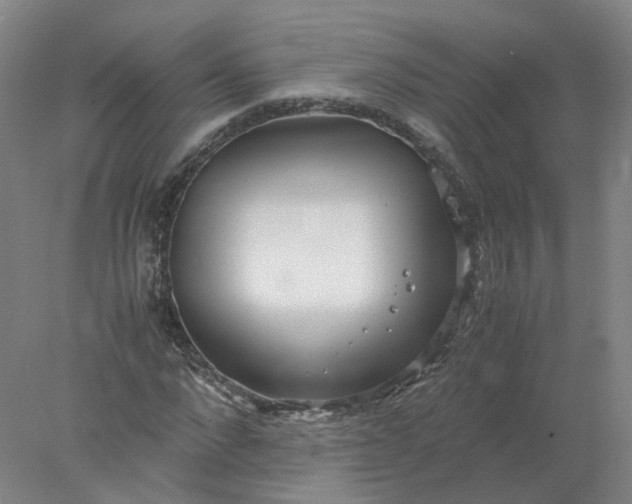 X0000077990872200611101725