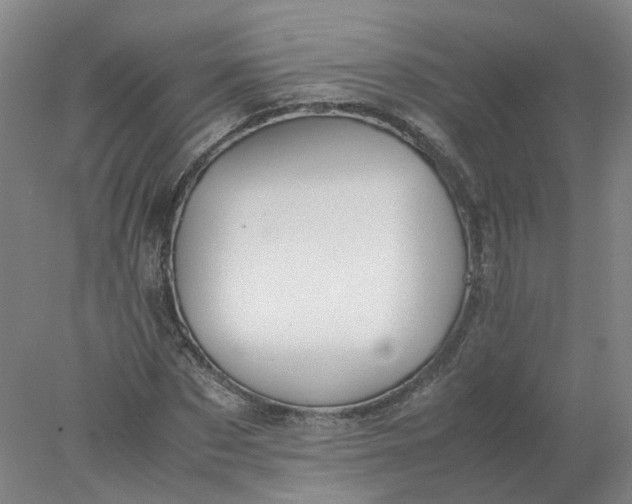 X0000077990873200611101725