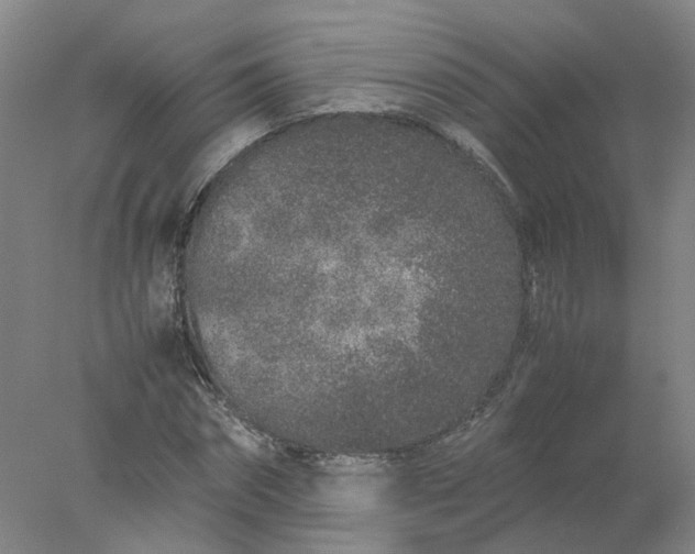 X0000077990874200611101725