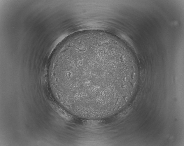 X0000077990875200611101725