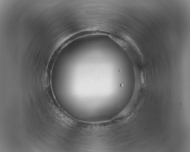 X0000077990876200611101725