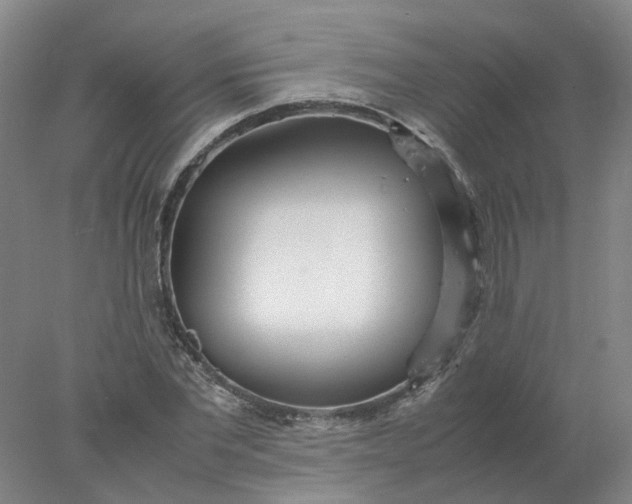 X0000077990877200611101725