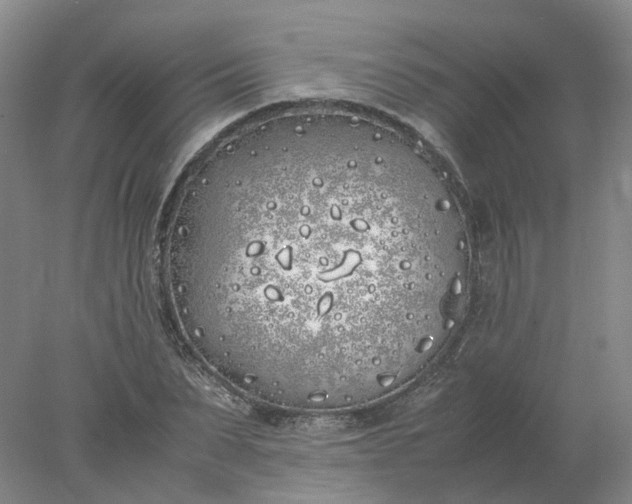 X0000077990879200611101725