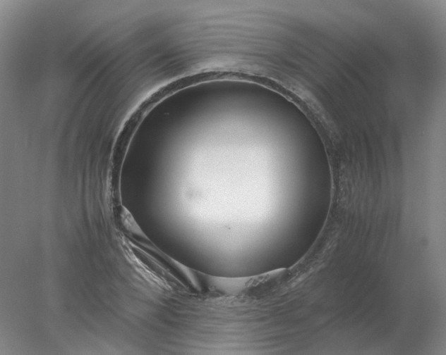 X0000077990880200611101725