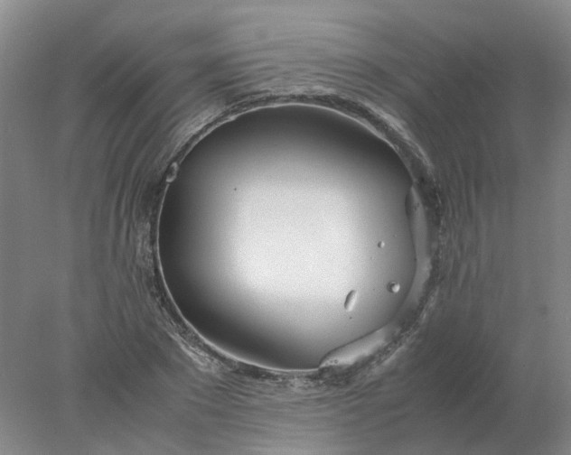 X0000077990881200611101725