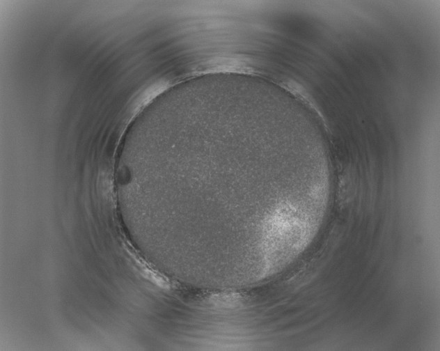 X0000077990882200611101725