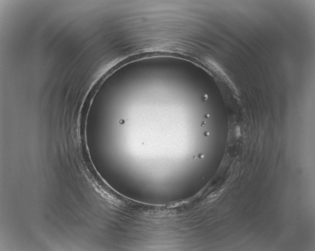 X0000077990884200611101725