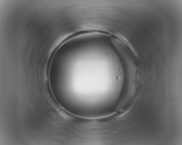 X0000077990885200611101725