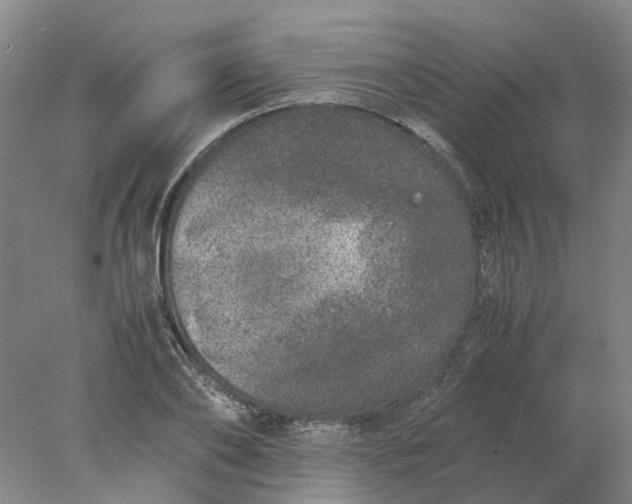 X0000077990886200611101725