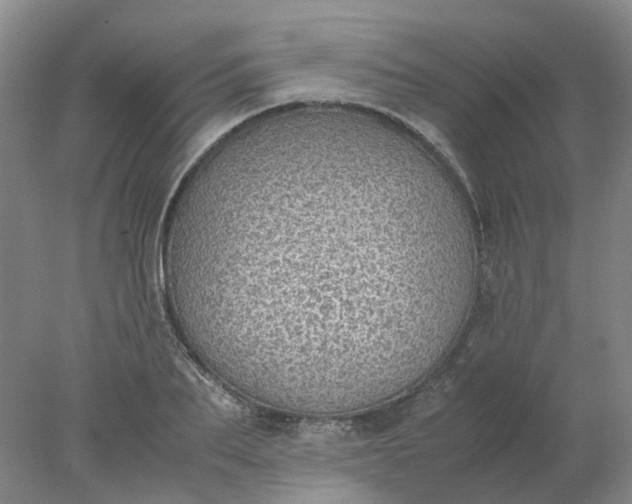 X0000077990887200611101725