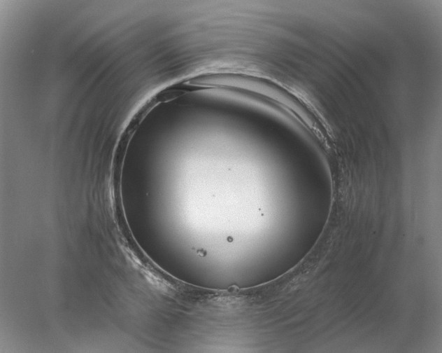 X0000077990888200611101725