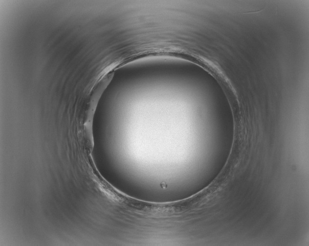 X0000077990889200611101725