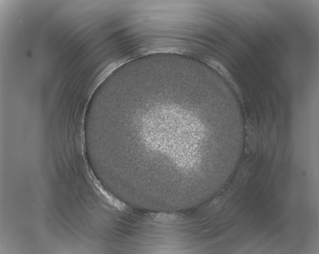 X0000077990890200611101725