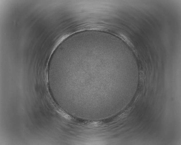 X0000077990891200611101725