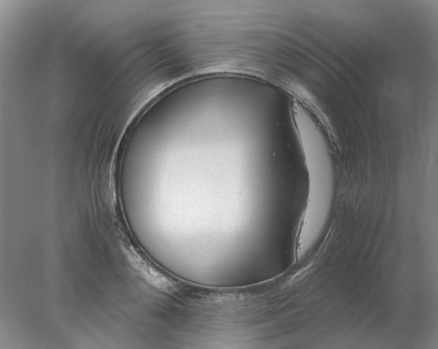 X0000077990892200611101725