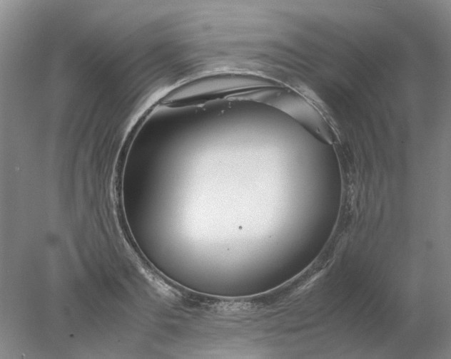 X0000077990893200611101725