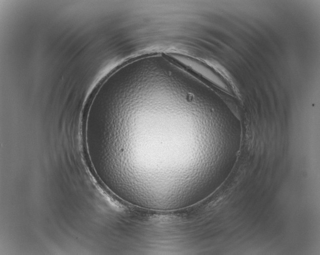 X0000077990894200611101725