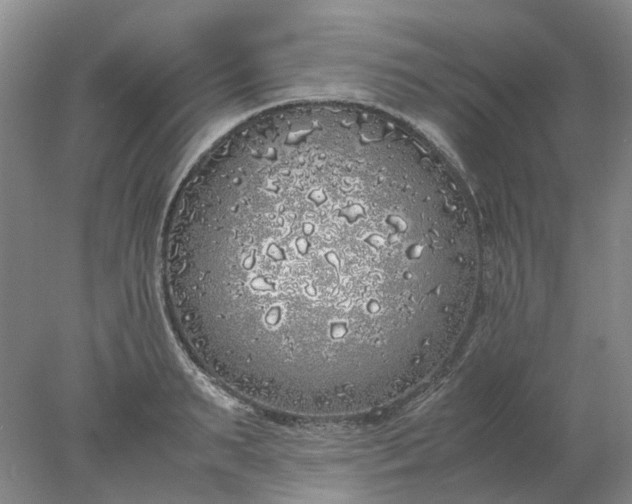 X0000077990895200611101725