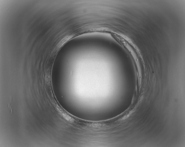 X0000077990897200611101725