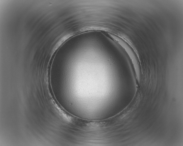 X0000077990898200611101725