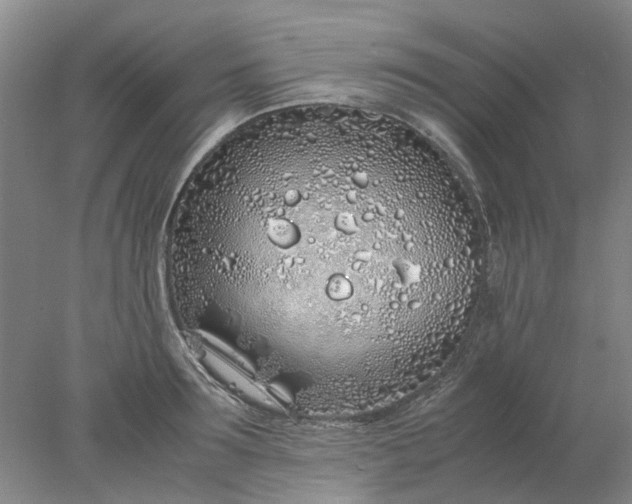 X0000077990899200611101725